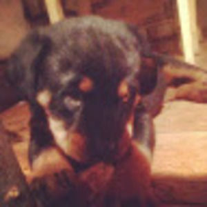 Meet your Posher, Luke